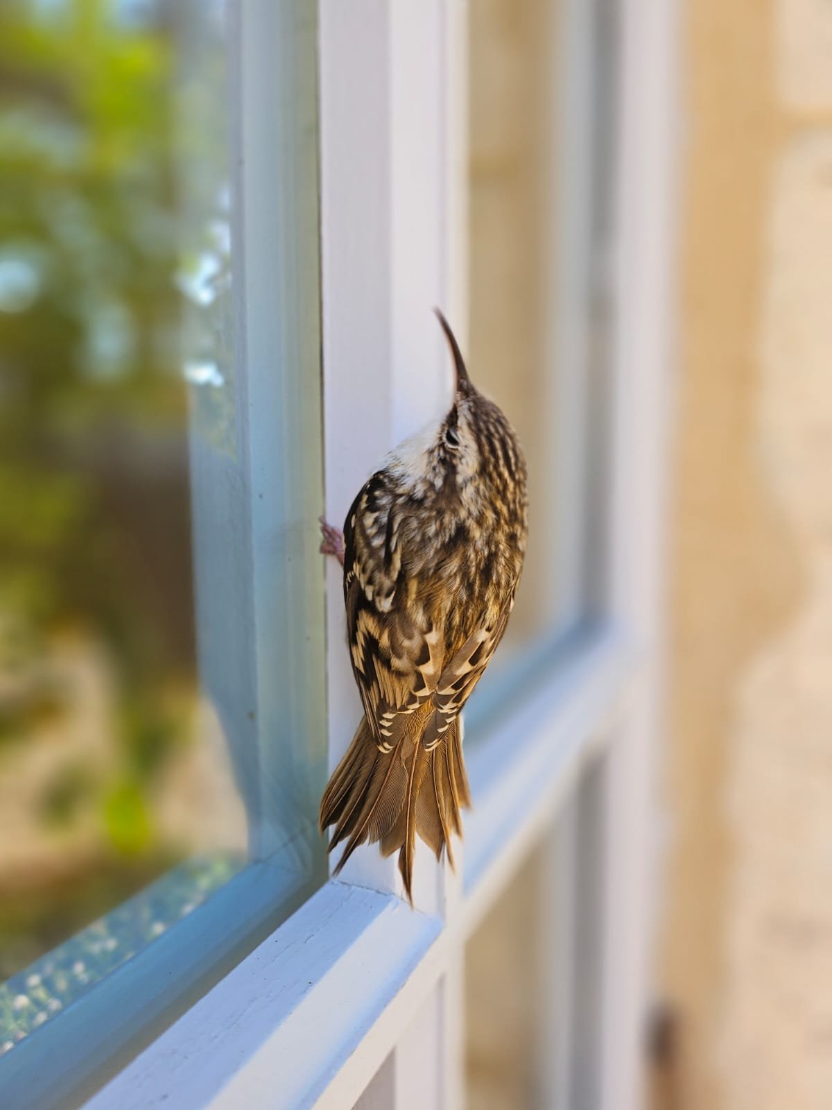 Slow Stay experience at a gîte in the Périgord Noir